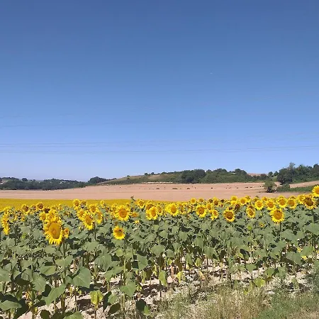 Logis De Bois Roche 1 別荘