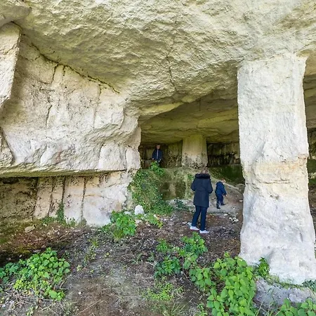 Logis De Bois Roche 1 *