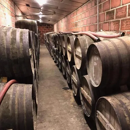 Logis De Bois Roche 1 別荘