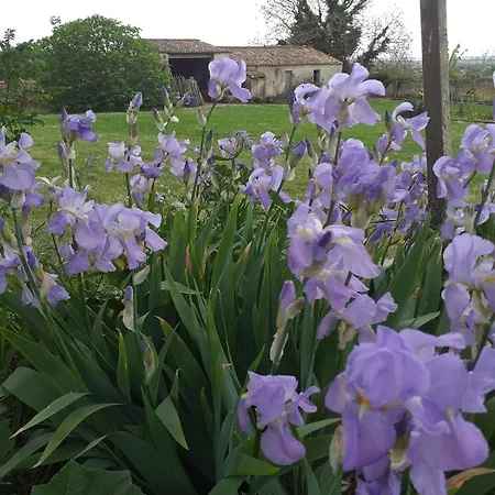 別荘 Logis De Bois Roche 1