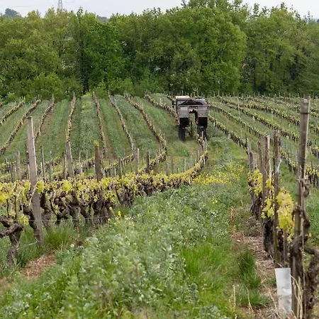Logis De Bois Roche 1 別荘 Saint-Bonnet-sur-Gironde