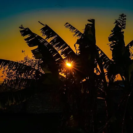 Logis De Bois Roche 1