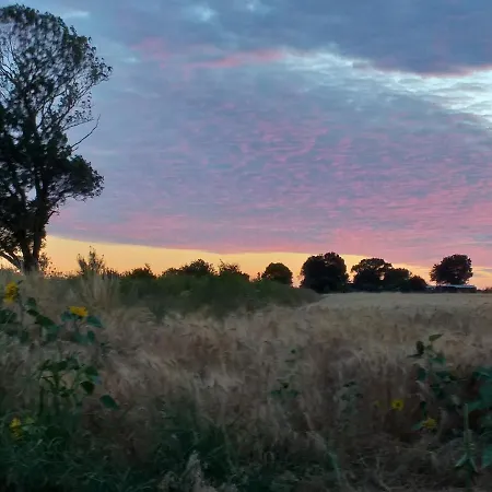 Logis De Bois Roche 1 Saint-Bonnet-sur-Gironde