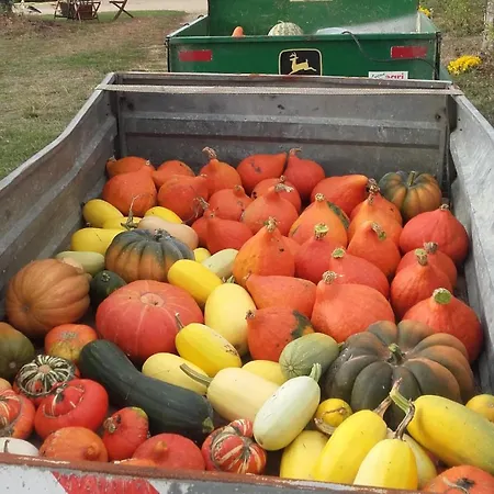 Logis De Bois Roche 1 別荘